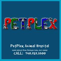 PetPlex Animal Hospital image 1